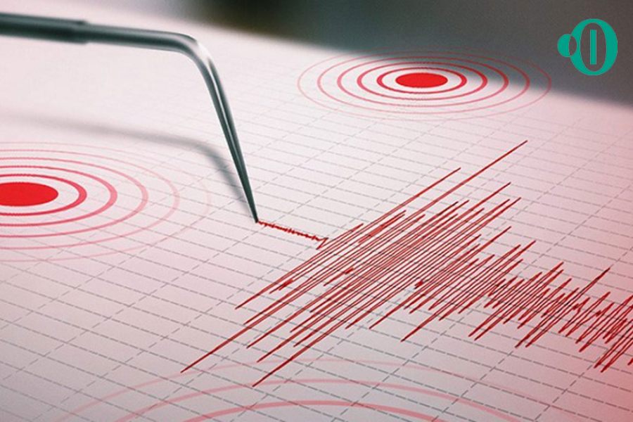 Gráfica de un sismo registrado en la escala de Richter.