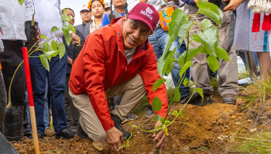 Gobernador de Oaxaca Mega Tequio de Reforestación en Monte Albán