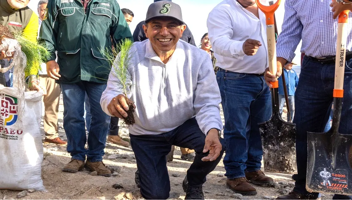  Arranca reforestación de zonas dañadas por incendios y sequía