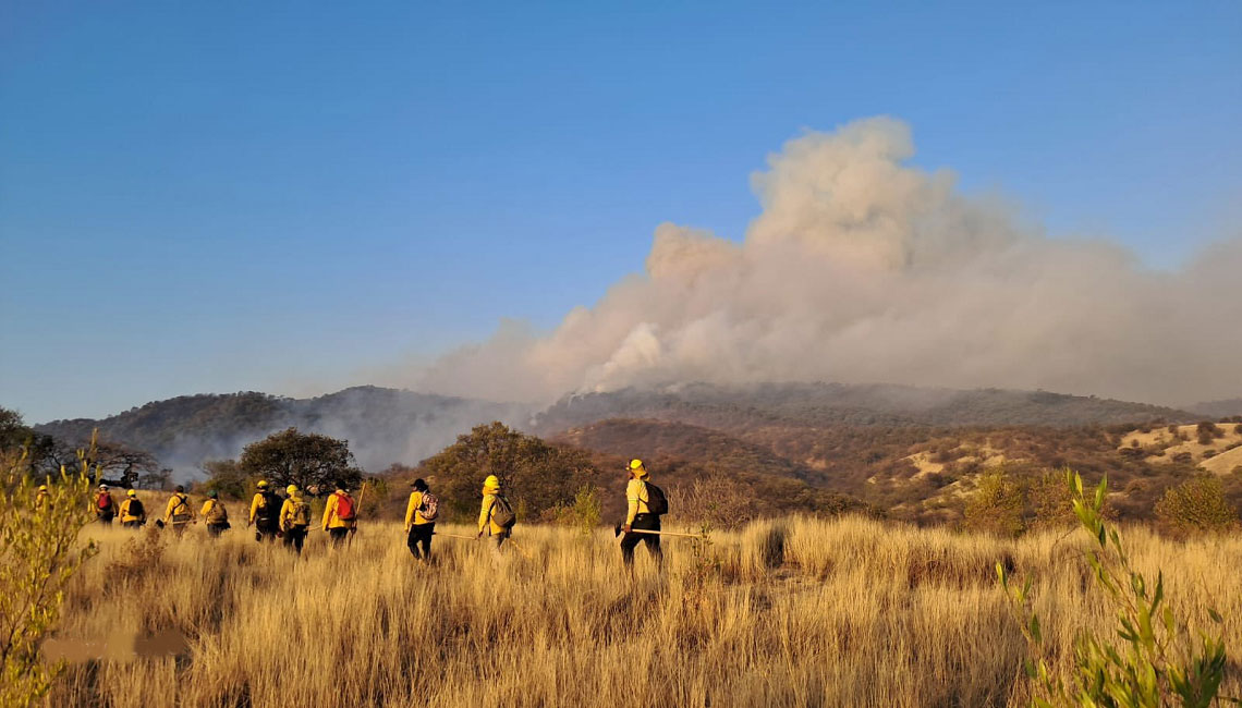 Controlan incendio forestal en La Mixteca, entre Santiago Ayuquililla y la agencia de Santiago Chilixtlahuaca