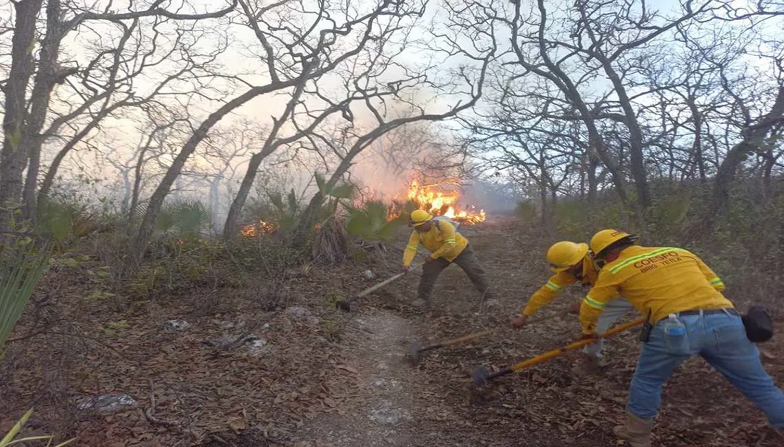 Refuerza Coesfo atención a incendio forestal en San Francisco Telixtlahuaca