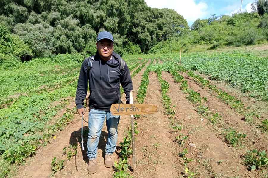 Apoyarán al campo de la Costa de Oaxaca tras paso de huracán John