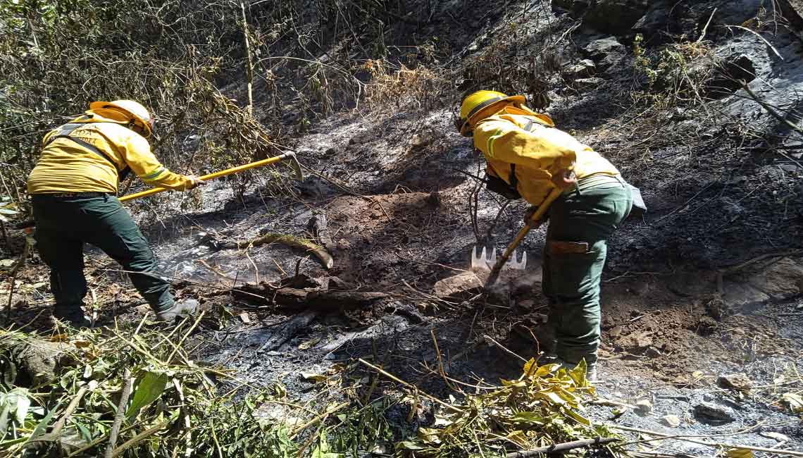 Liquida COESFO incendio forestal en la zona de Asunción Mixtepec