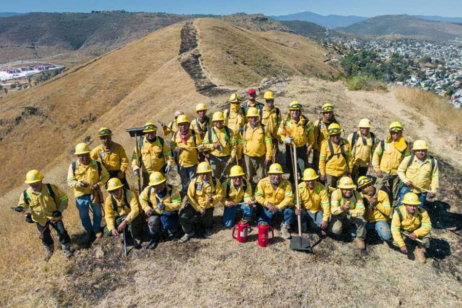 Con apertura de línea negra, protege COESFO reforestación en Monte Albán