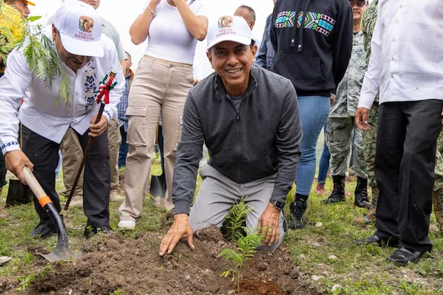 Revitalizan suelos del Polígono de Monte Albán con segunda etapa de reforestación