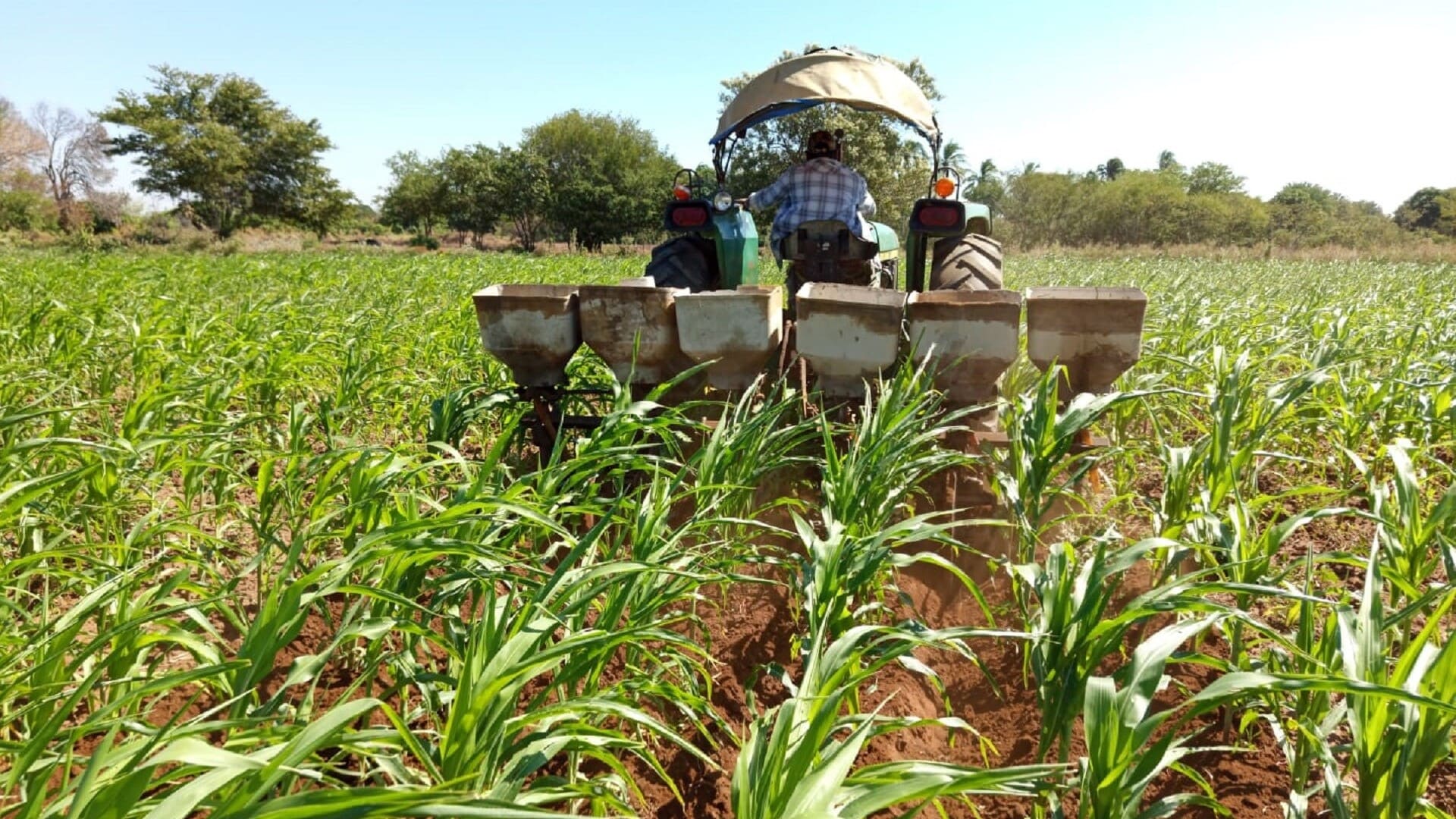 Se acentúa pobreza en municipios que no reciben remesas, revela estudio de Coneval Se acentúa pobreza en municipios que no reciben remesas, revela estudio de Coneval