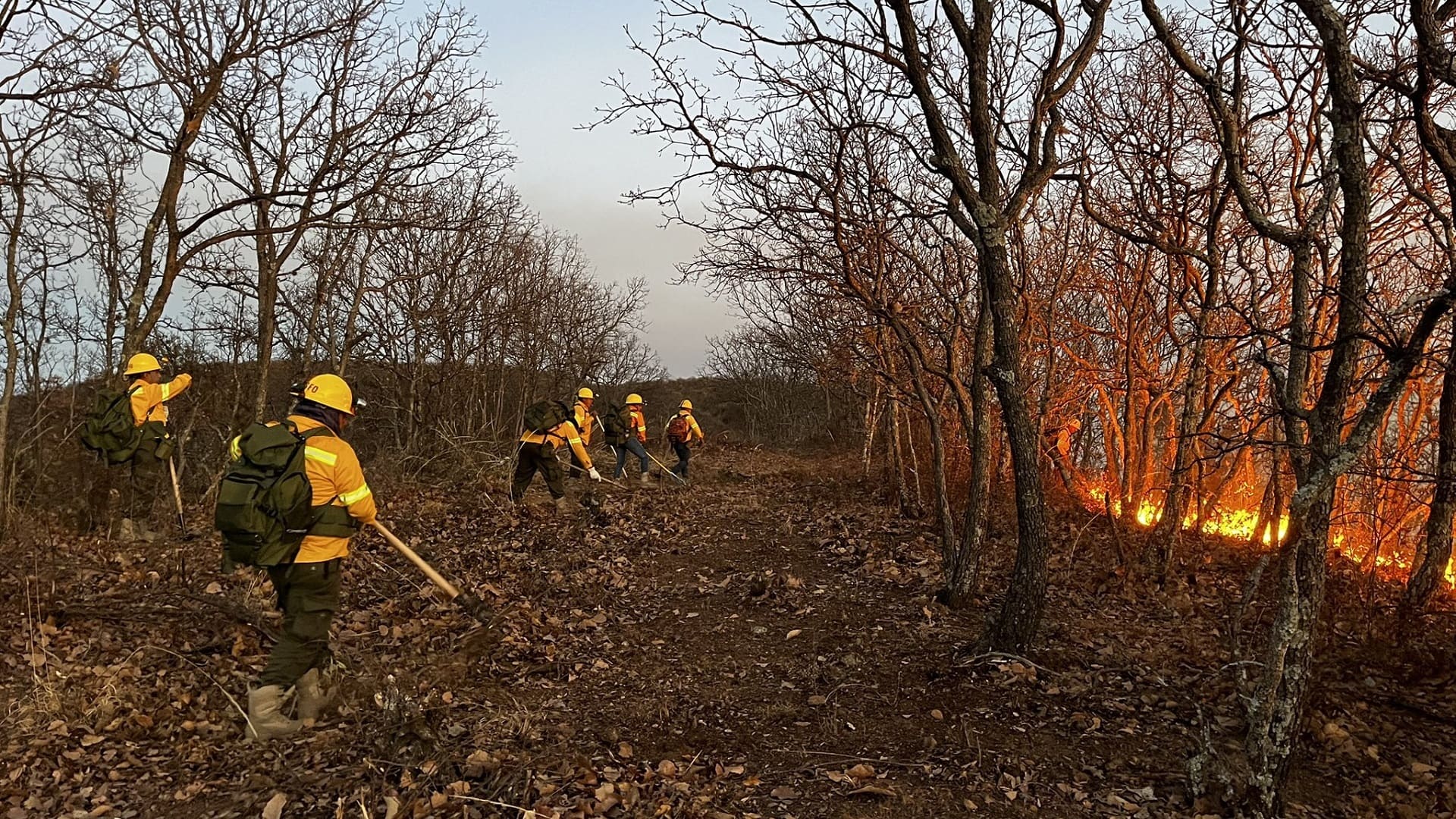 Oaxaca, en alerta por ocho incendios forestales activos