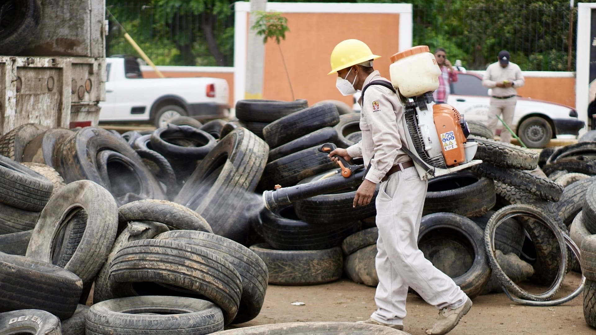 Oaxaca resiste ante el dengue, suma tres semanas sin casos nuevos Oaxaca resiste ante el dengue, suma tres semanas sin casos nuevos