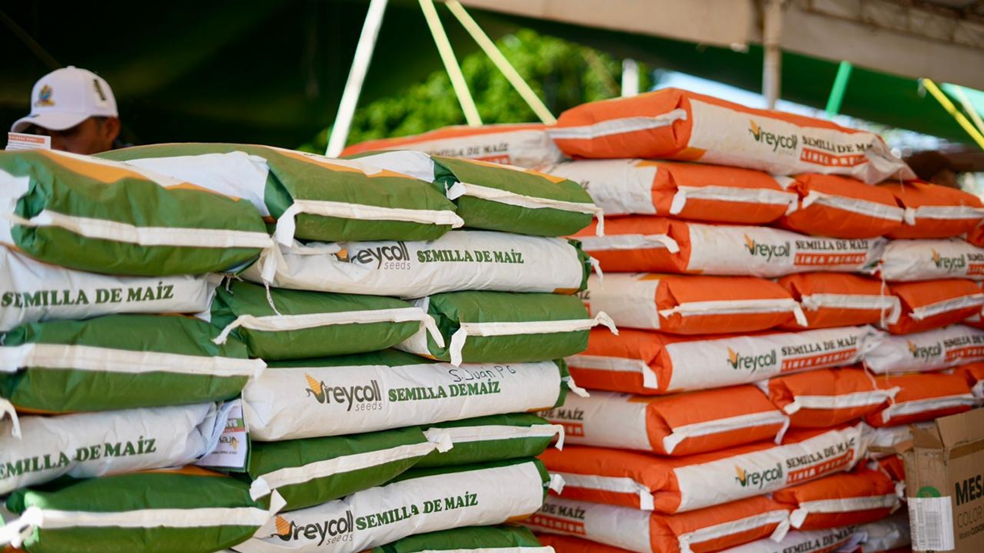 Oaxaca refuerza su campo: miles de productores reciben apoyo histórico