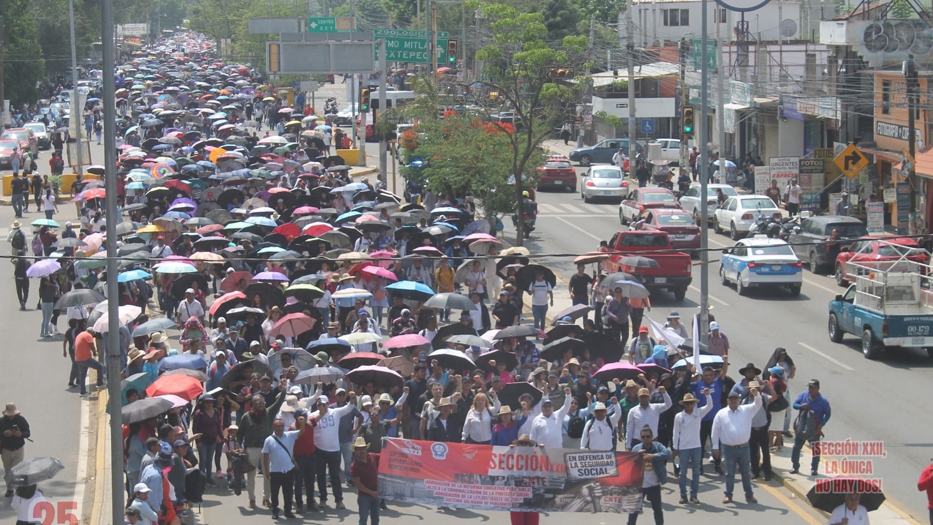 Cientos de personas caminando en una calle con paraguas y mantas.