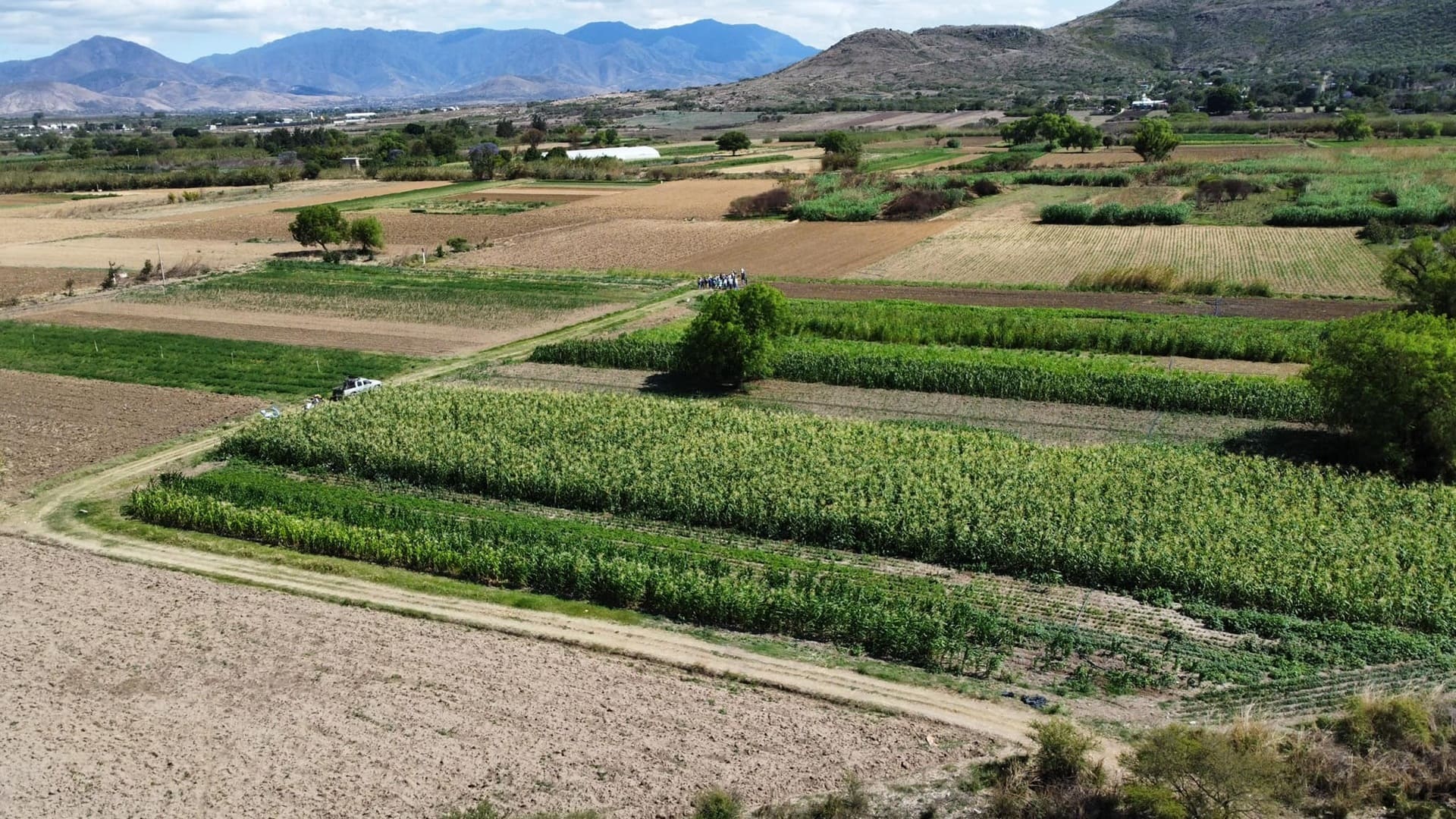 Oaxaca se dispara en crecimiento económico: lidera entre los estados con mayor avance Oaxaca se dispara en crecimiento económico: lidera entre los estados con mayor avance