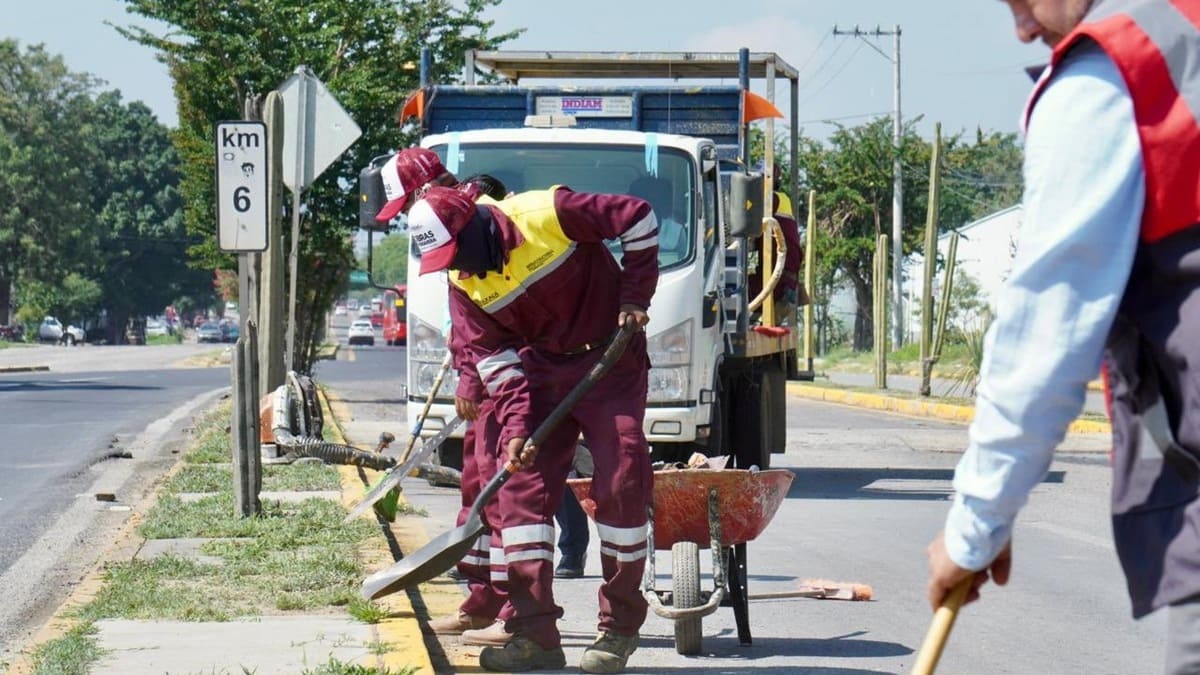 Oaxaca lidera la informalidad laboral en México: 8 de cada 10 trabajadores carecen de empleo formal