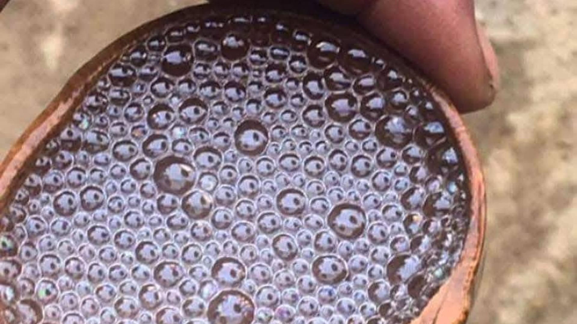 Oaxaca emprenderá batalla legal en defensa del mezcal Oaxaca emprenderá batalla legal en defensa del mezcal