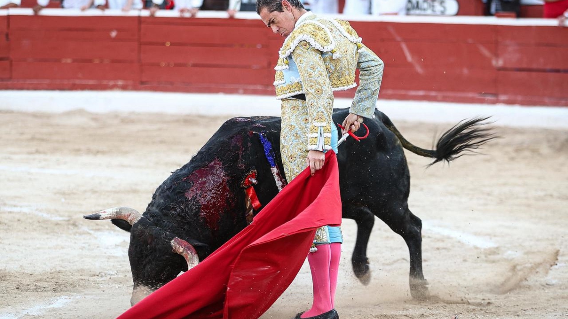 Diego Silveti corta oreja pese a cornada en la Corrida Blanca de Mérida