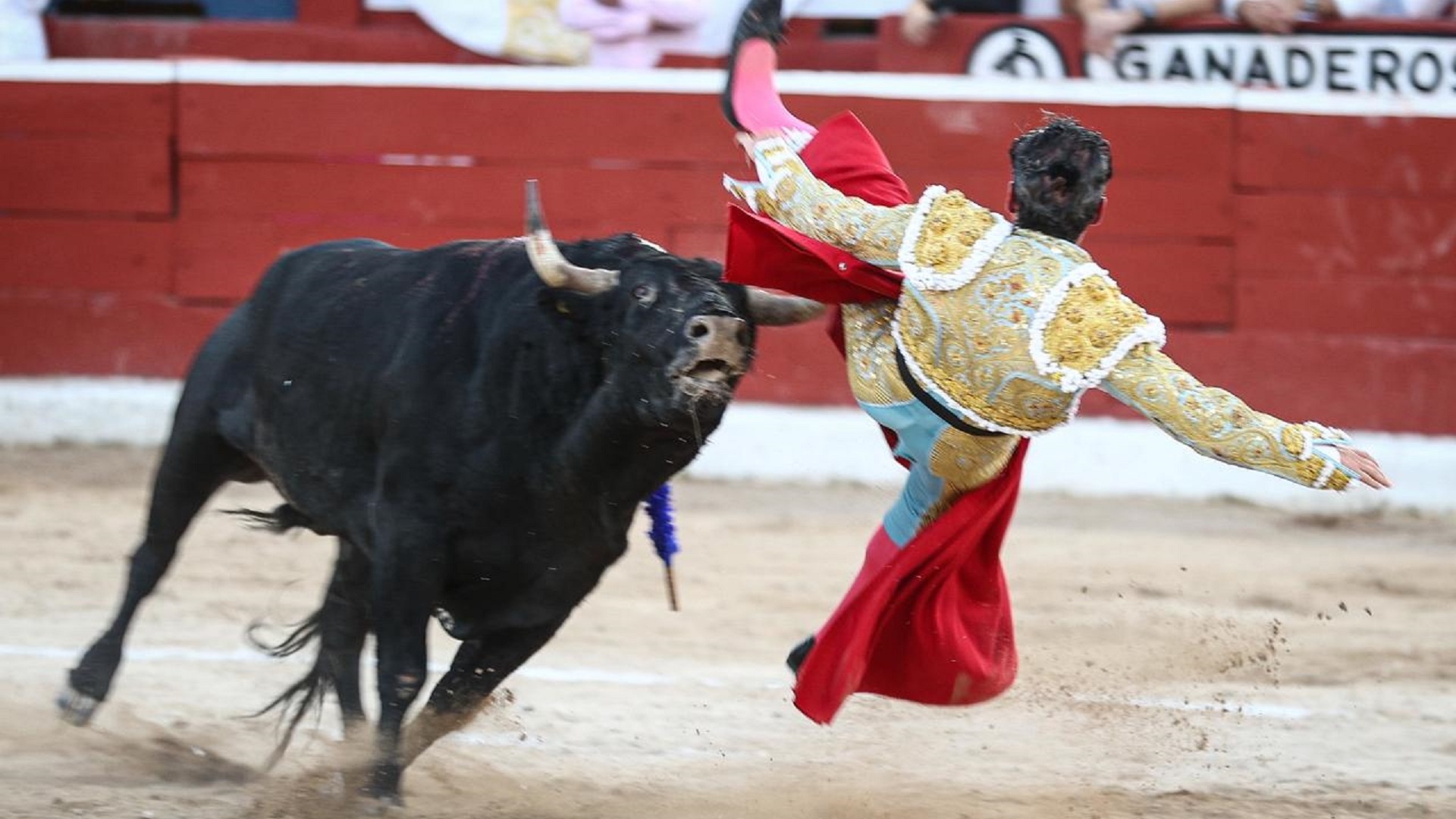 Diego Silveti corta oreja pese a cornada en la Corrida Blanca de Mérida