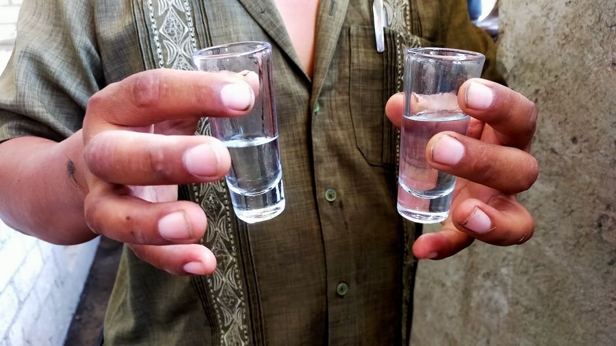 Guía del mezcal artesanal de Oaxaca: qué es, cómo se produce y dónde conocer la Ruta del Mezcal