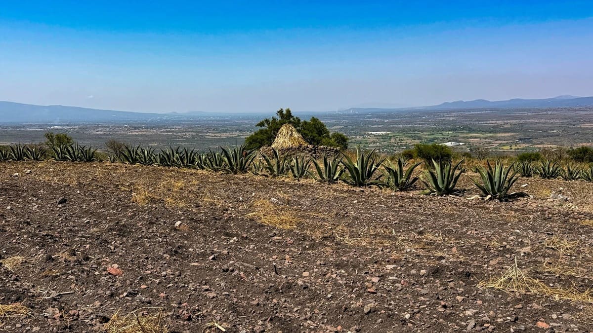 7 Pueblos Mágicos de Hidalgo que debes visitar: historia, naturaleza y aventura 7 Pueblos Mágicos de Hidalgo que debes visitar: historia, naturaleza y aventura