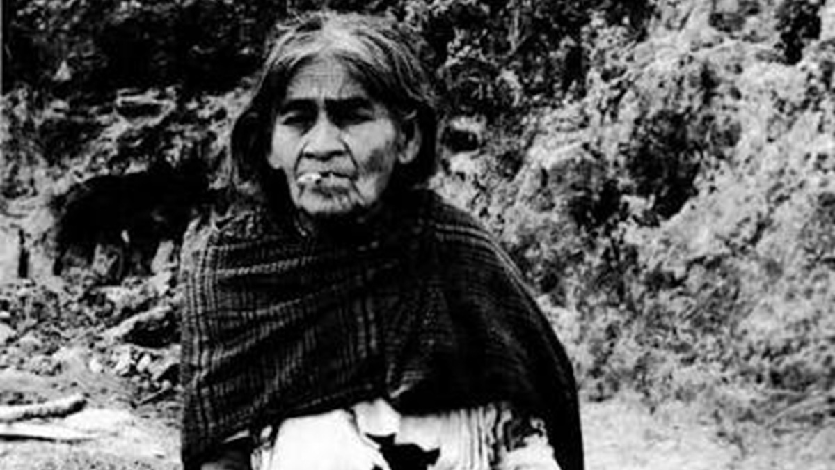 ¿Qué es el Psilocybe mexicana? El hongo de María Sabina