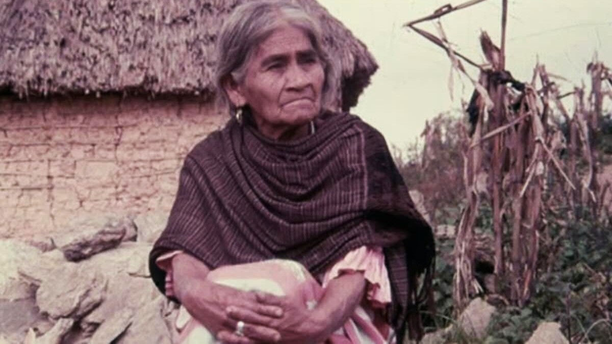 ¿Qué hongos usaba María Sabina? La historia de los “niños santos” de Oaxaca