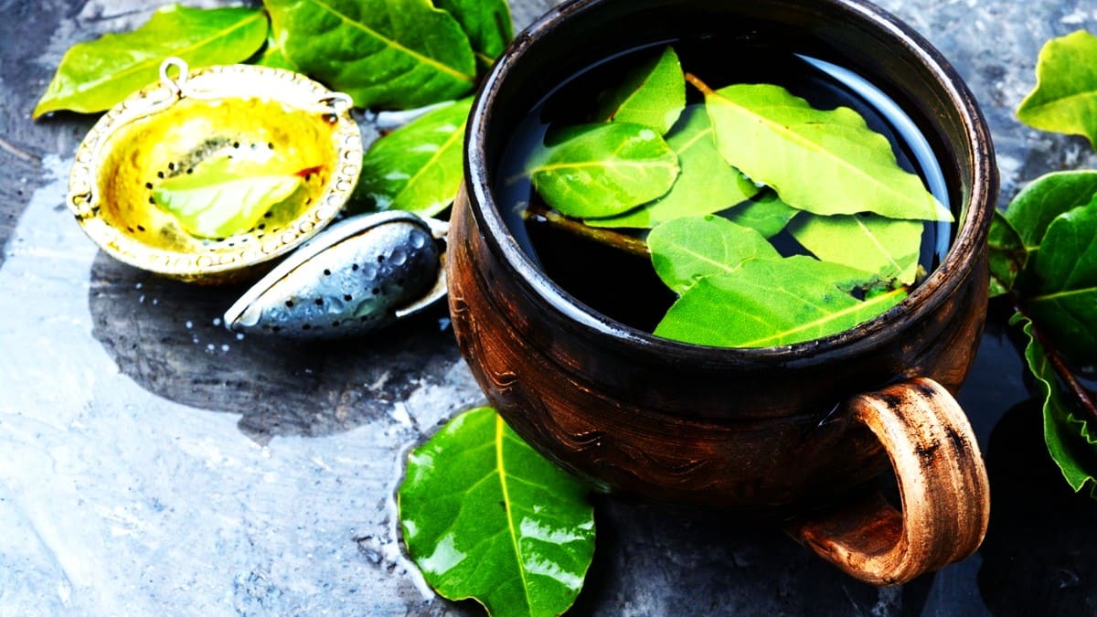 Una taza de barro con agua junto a hojas de guanábana en una mesa