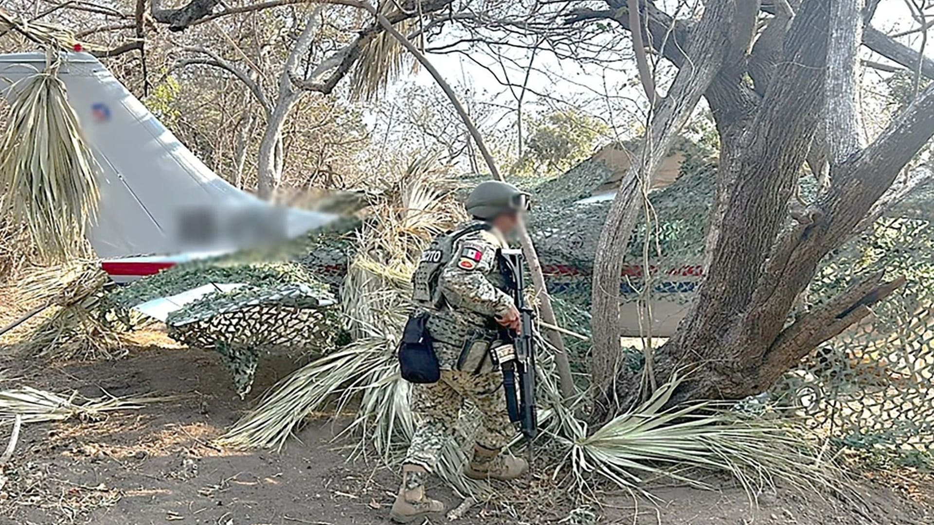 Defensa asegura avioneta con más de media tonelada de cocaína en Oaxaca