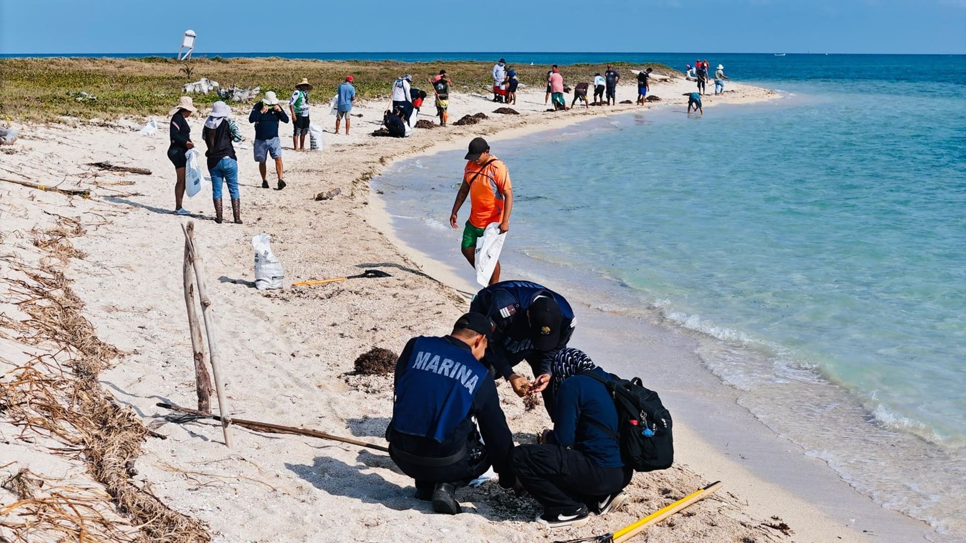 ASEA presenta denuncia penal por contaminación con hidrocarburos en costas del Golfo
