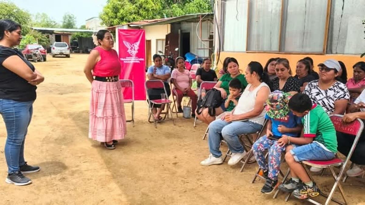 La grana cochinilla como identidad política del Partido de la Transformación Oaxaqueña