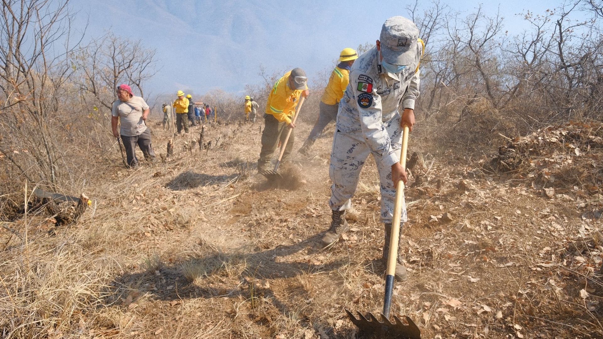 Incendio forestal explosivo arrasa con 500 hectáreas en Oaxaca Incendio forestal explosivo arrasa con 500 hectáreas en Oaxaca