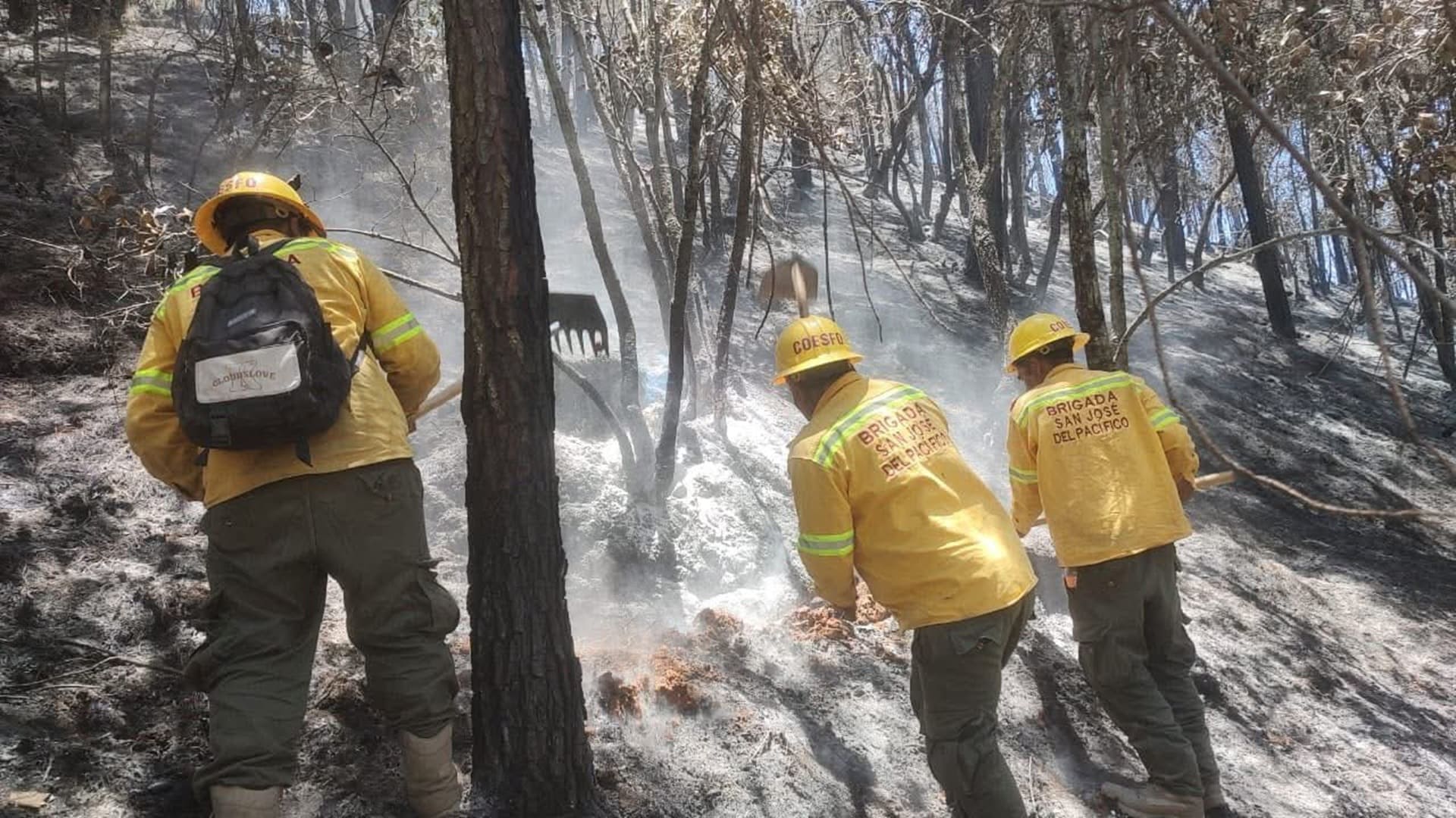 ¡Lo lograron! Coesfo abate feroz incendio forestal en Santa María Peñoles ¡Lo lograron! Coesfo abate feroz incendio forestal en Santa María Peñoles