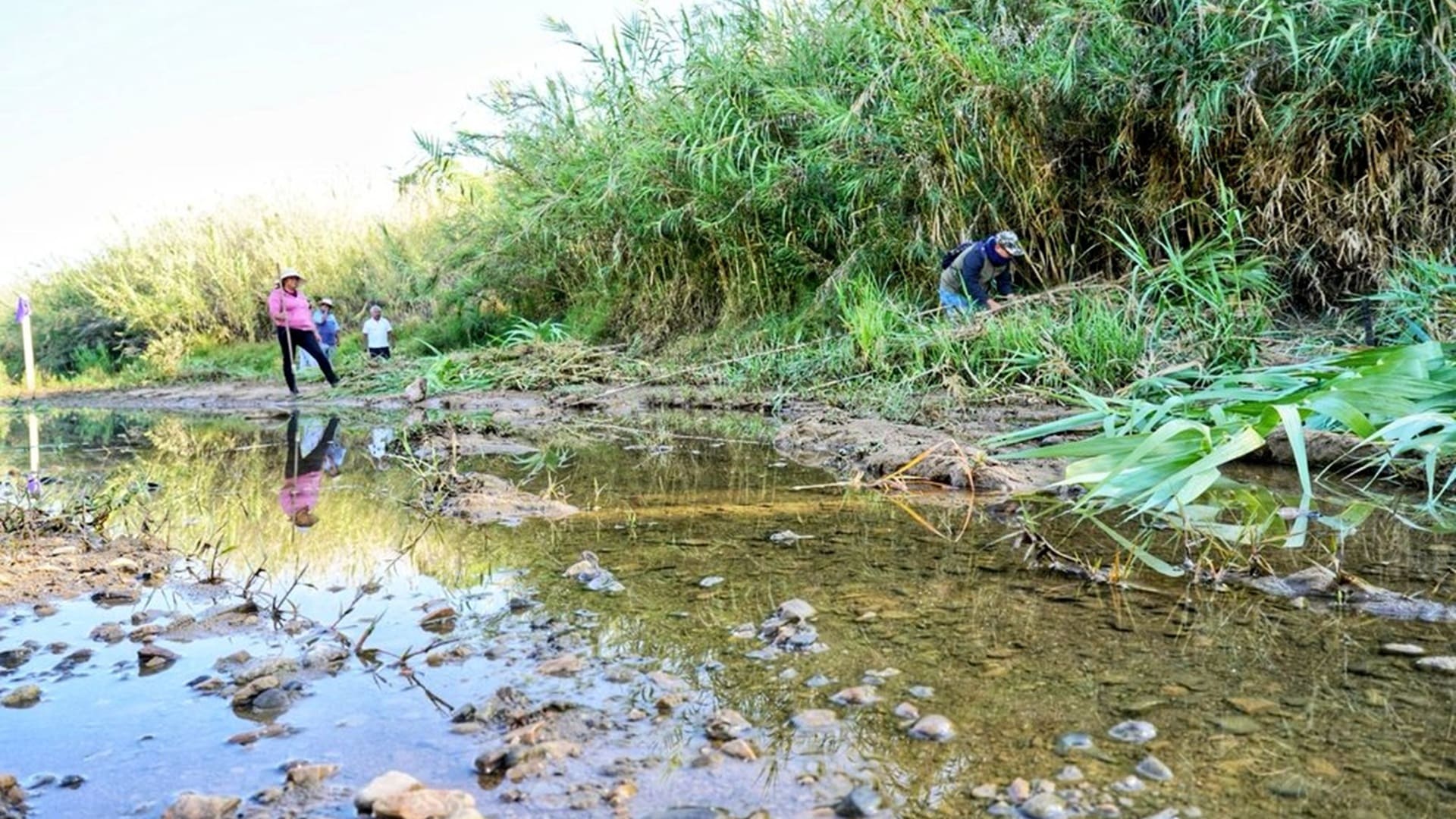 Magdalena Apasco participa en Mega Tequio de Limpieza por el río Atoyac