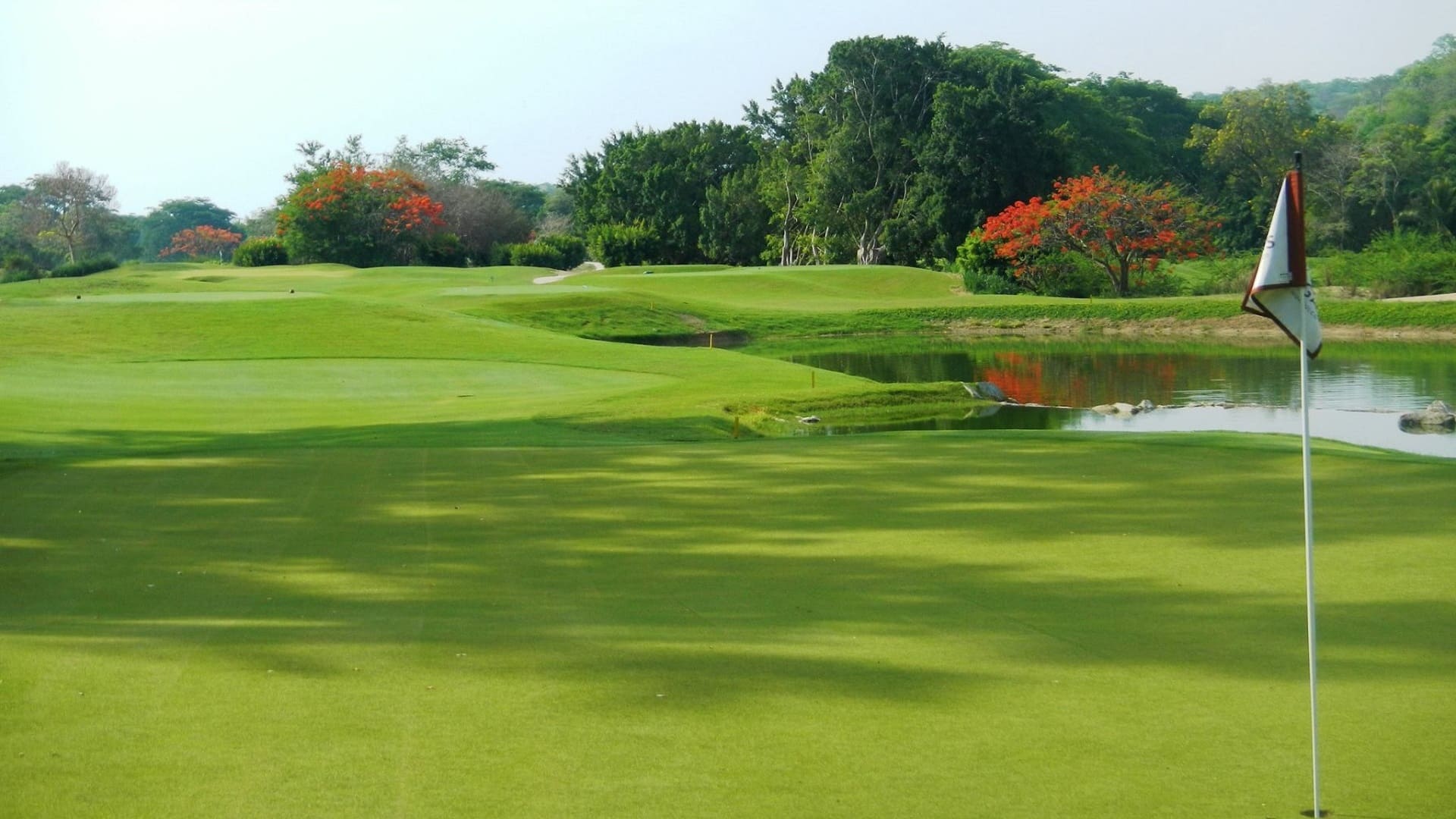 Huatulco condonó 99% del predial a Salinas Pliego en Las Parotas Club de Golf