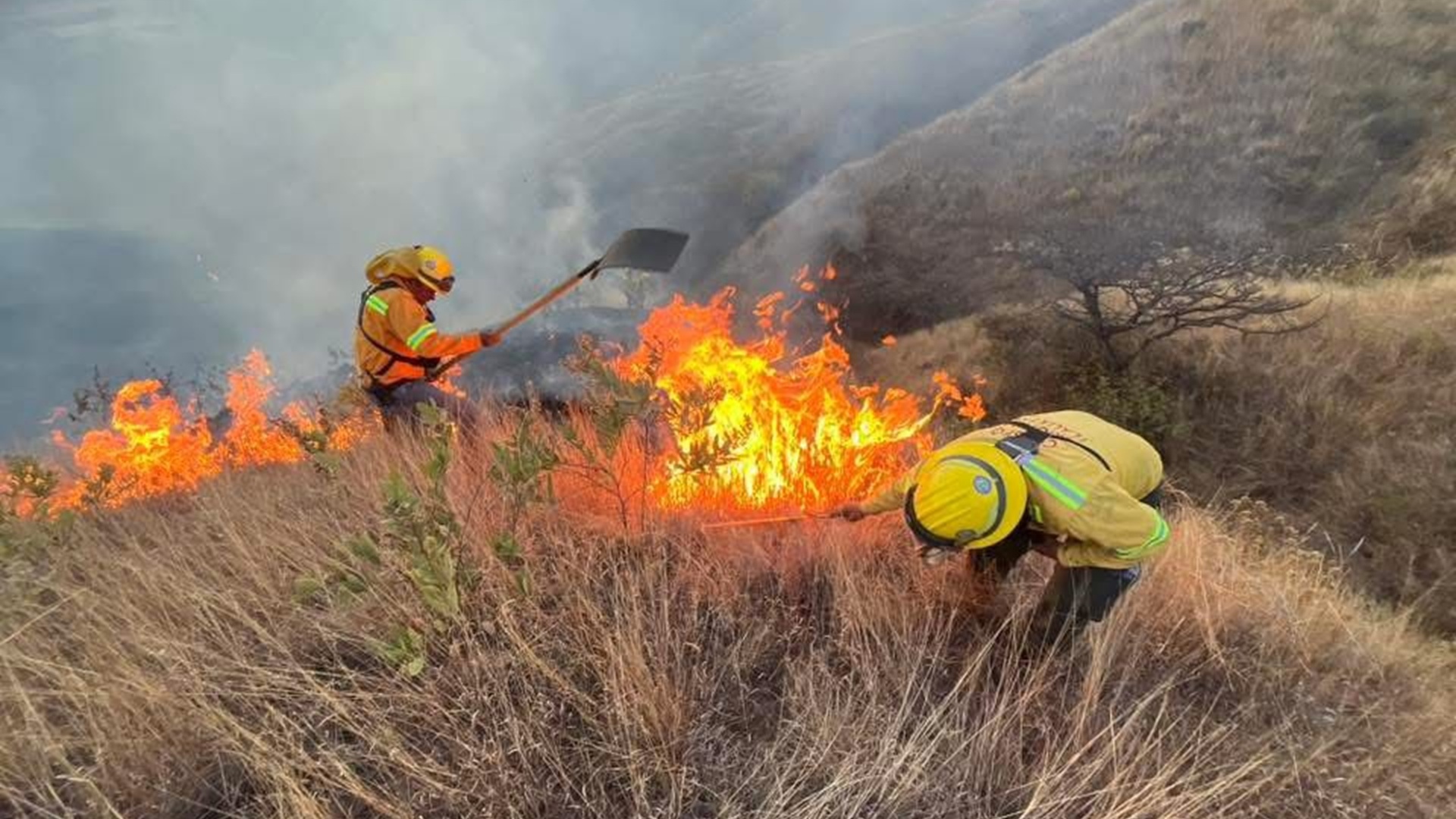 Tragedia en la Costa de Oaxaca: mueren dos personas en incendio de pastizales en Barra Copalita