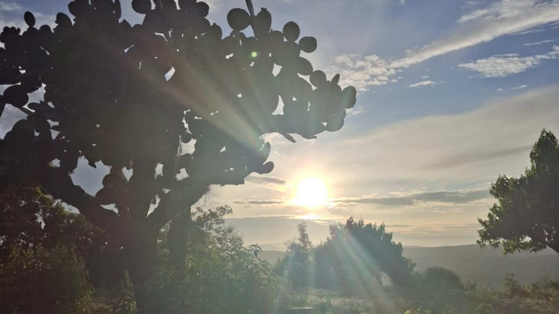 UNAM documenta 42 plantas silvestres comestibles en la Mixteca Alta de Oaxaca