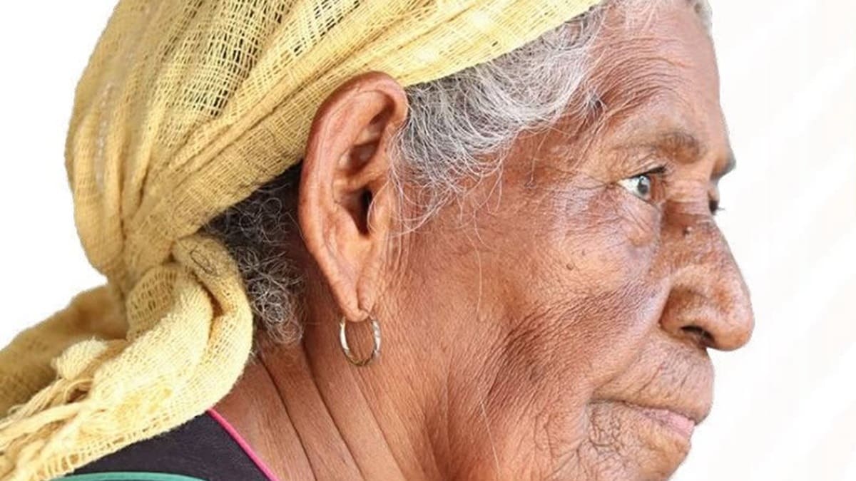 Adultos mayores de Oaxaca podrían aumentar su pensión del IMSS hasta 17 mil pesos; estos son los requisitos Adultos mayores de Oaxaca podrían aumentar su pensión del IMSS hasta 17 mil pesos; estos son los requisitos