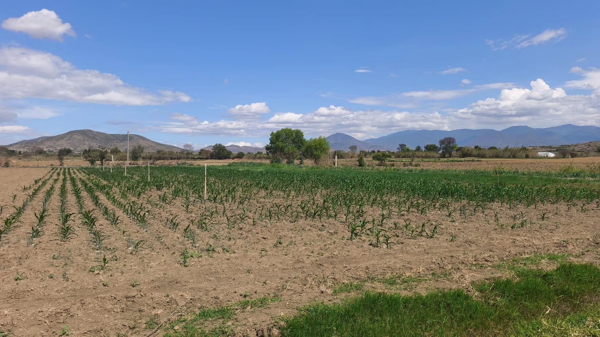 Testamento agrario en Oaxaca: Guía para proteger la herencia de tierras ejidales
