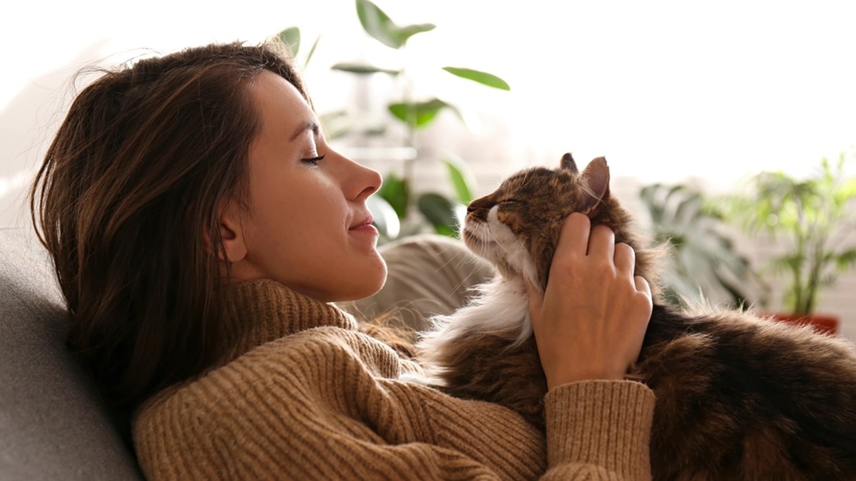 ¿Cómo hacer para que mi gato me quiera? 7 formas de ganarte su confianza