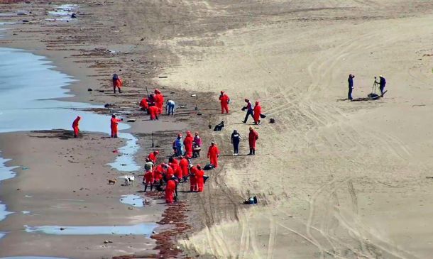 Recolectan 91 toneladas de residuos por hidrocarburos en playas de Veracruz y Tabasco