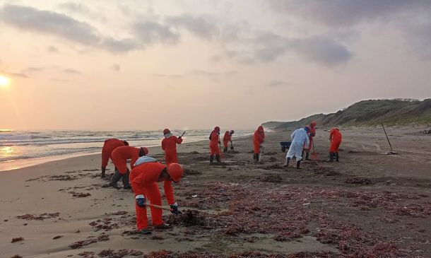 Contención en marcha: brigadas limpian playas del Golfo tras derrame de hidrocarburos