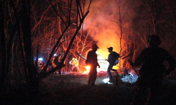 Entre humo y esperanza: brigadistas logran 60% de control del incendio en la Costa de Oaxaca