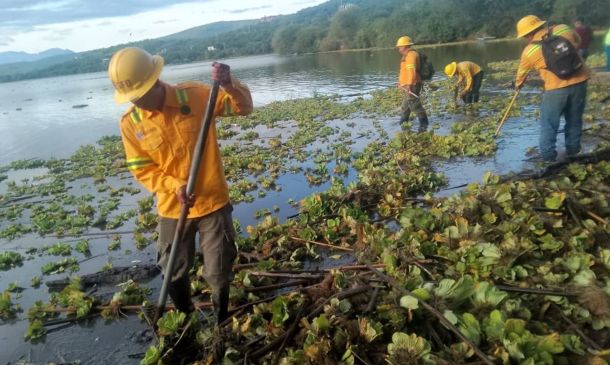 Huajuapan de León: retiran 220 toneladas de lirio acuático y basura en la presa de San Francisco Yosocuta