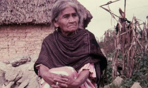 ¿Qué hongos usaba María Sabina? La historia de los "niños santos" de Oaxaca