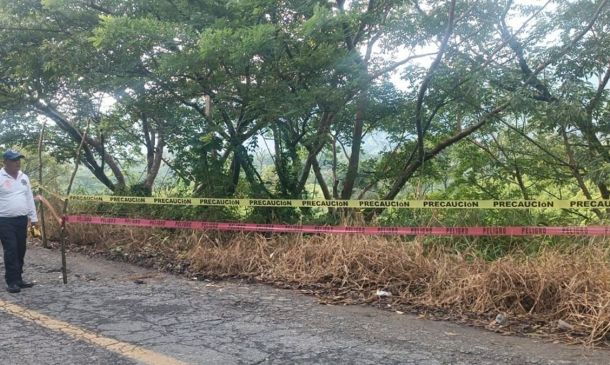 Reblandecimiento de tierra afecta carretera federal 182; restringen paso en Oaxaca
