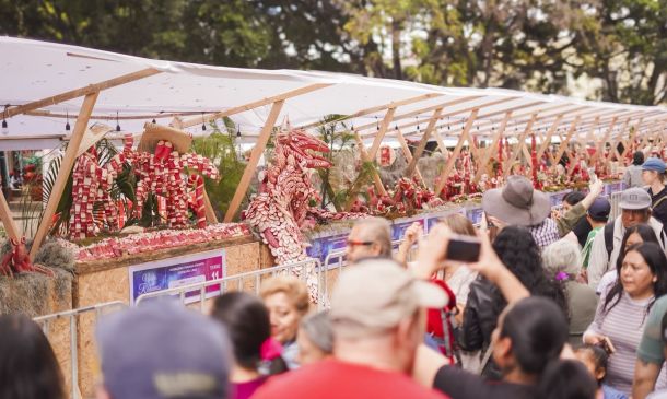 Maravilla Oaxaca con la edición 128 de la tradicional Noche de Rábanos
