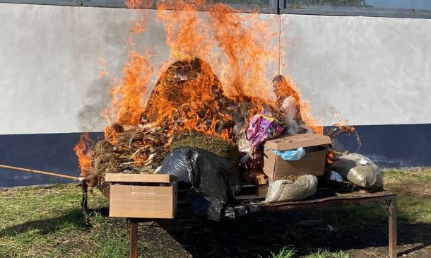Oaxaca: FGR destruye 851 kilos de mariguana y más de 7 mil dosis