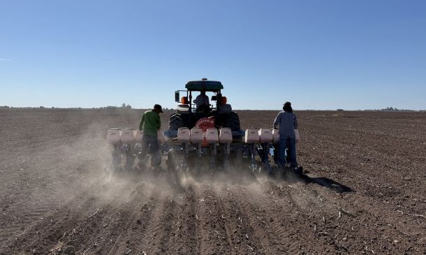 México, hacia la peor caída en producción de granos en 25 años