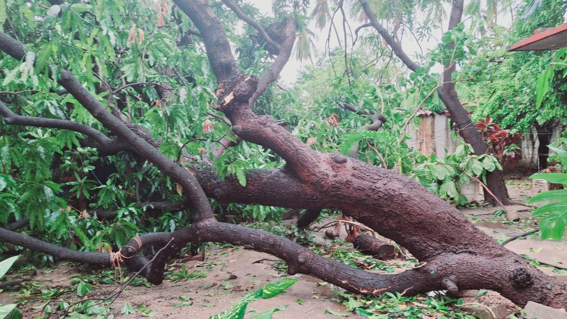 El huracán Erick llegó sin avisar, de pronto, como las pesadillas suelen hacerlo