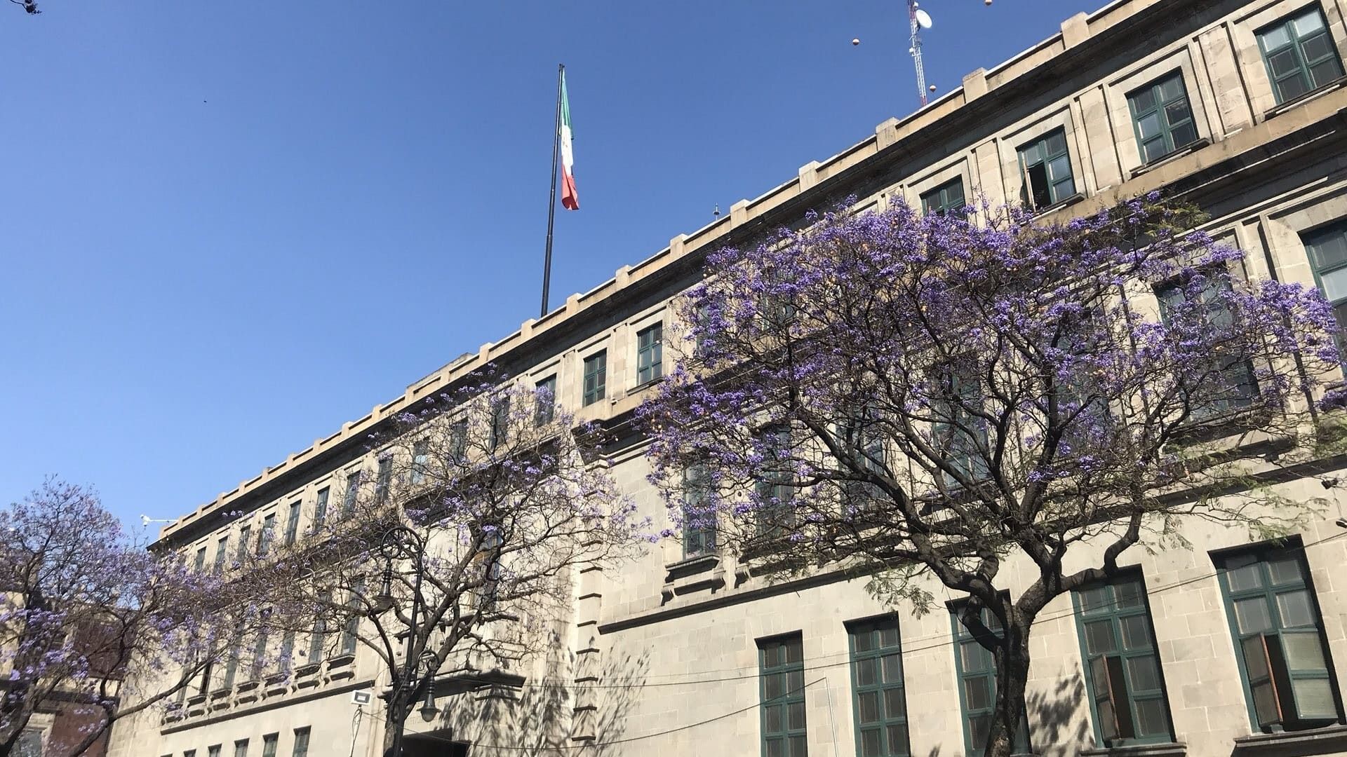 De Oaxaca, las controversias que desechó la SCJN contra reforma judicial