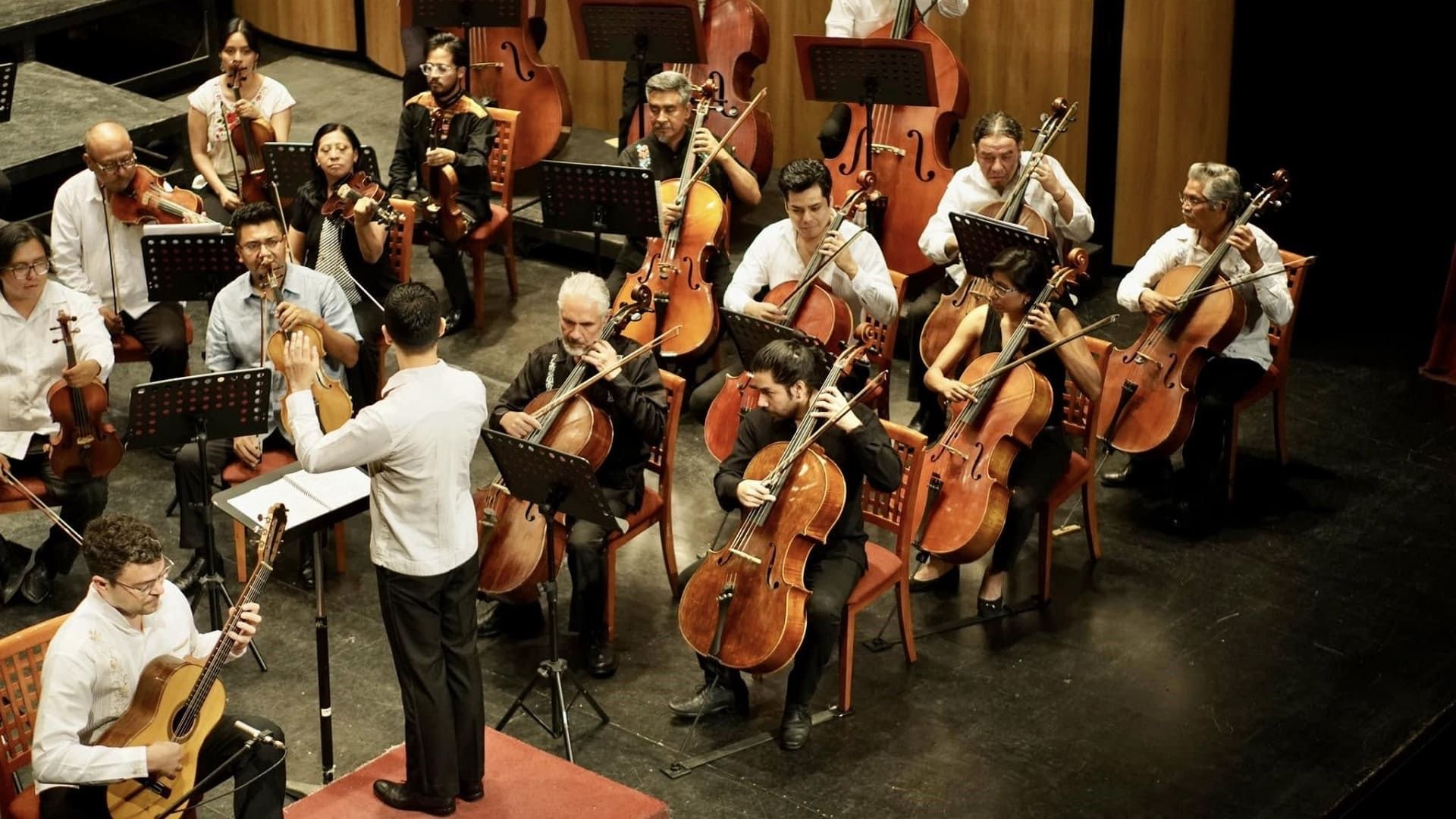 hoy-asiste-concierto-gratuito-orquesta-sinfonica-oaxaca-macedonia-alcala