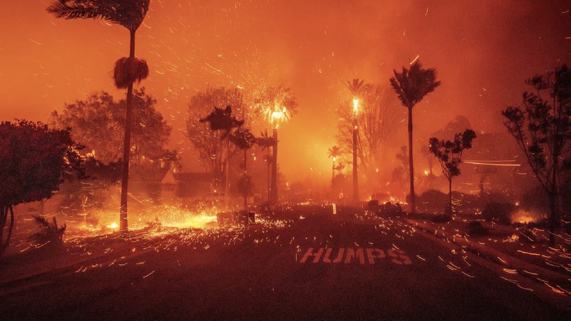 Incendios en Los Ángeles: los factores detrás del desastre más destructivo