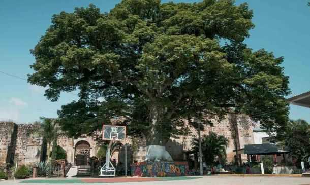 Higo de la capilla de Belén, herencia de José María Morelos en Oaxaca
